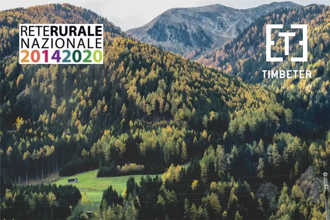 Timbeter featured in the Italian governments’ key guidelines: Perspectives and potential of digitalization of the forestry sector in Italy