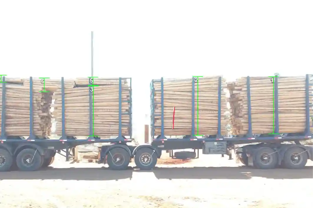 Diferentes usos de Timbeter para la medición de trozas de madera en camiones
