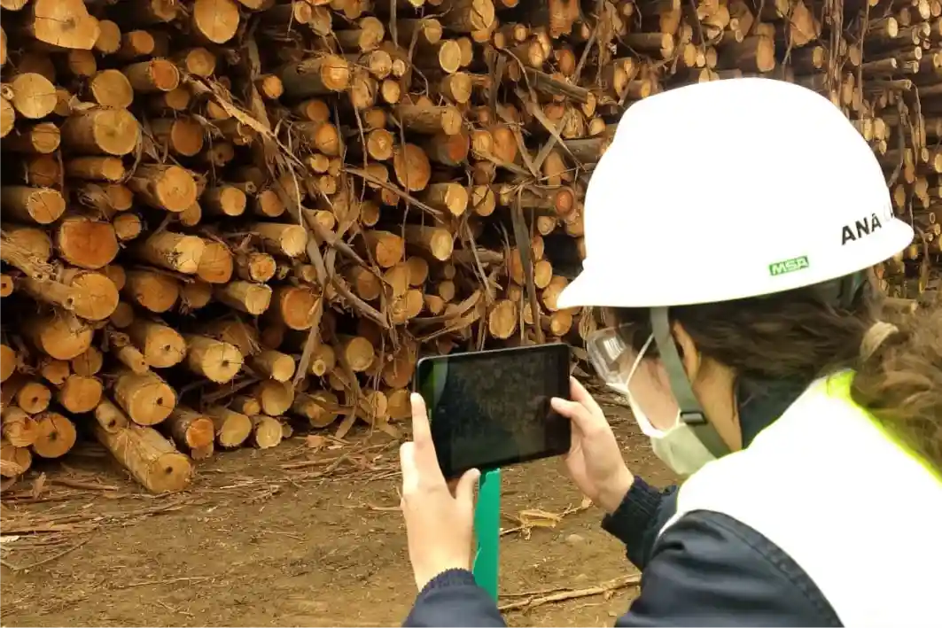 Precisión de Timbeter para la medición de troncos y pilas de eucalipto mediante dispositivos móviles.